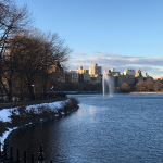 Hahn_New_York_trip_Central_Park1