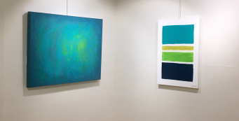 Hahn art on display in gallery